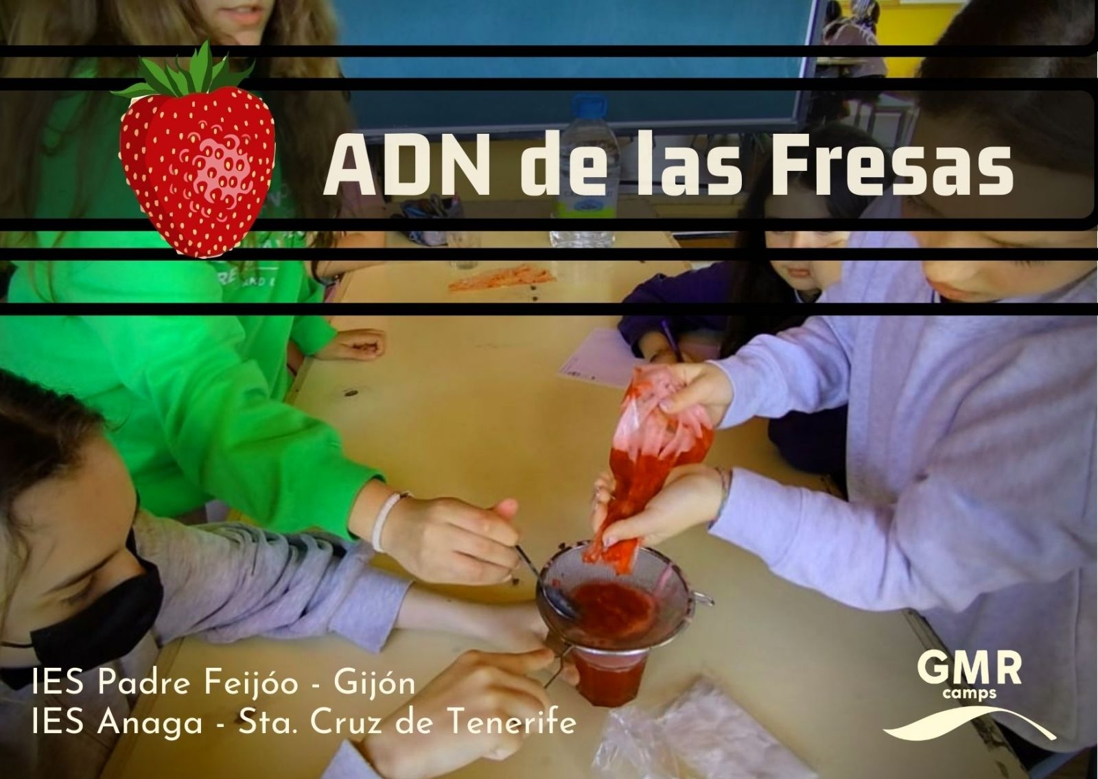 Fresas en León? | Campamentos de inglés con profesores nativos | Noticias y  novedades en el blog